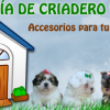 accesorios para tu perro de criadero villa