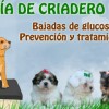 tratamiento de enfermedades perros