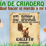 perrse busca perro perdido guia de criadero como encontrar a un perro perdido